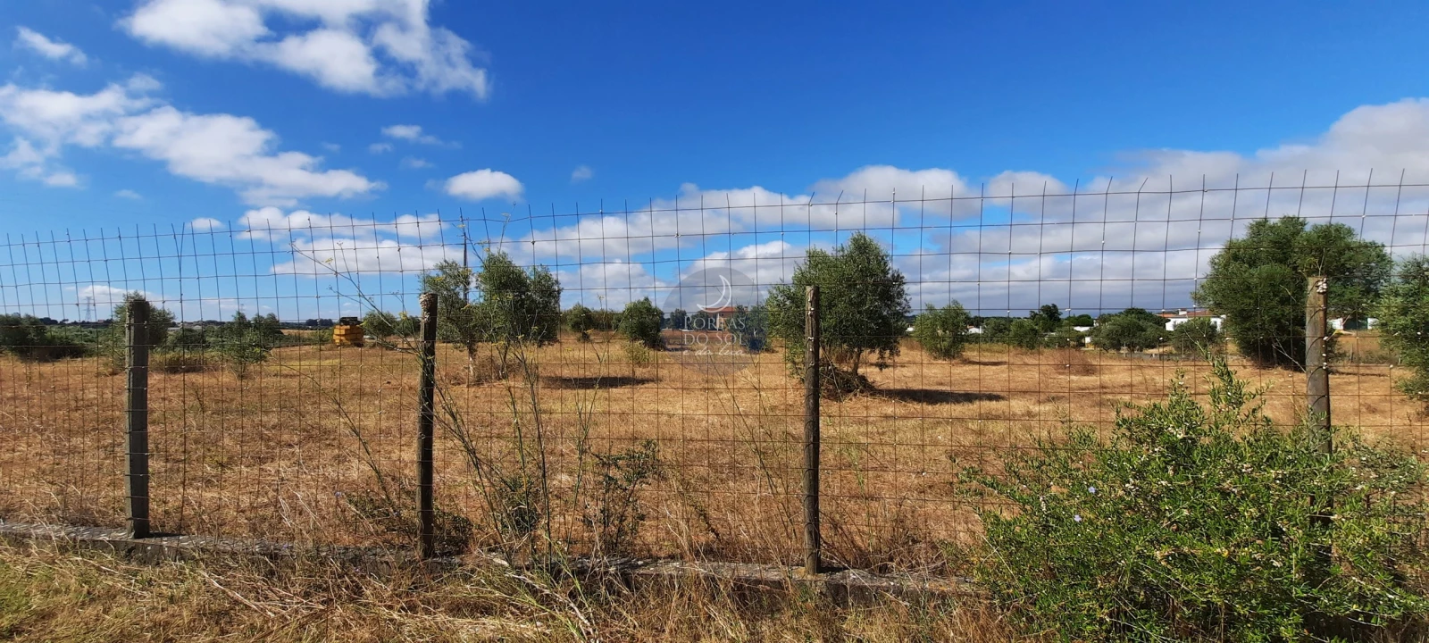 Terreno para Venda em Romeira e Várzea Foto 4