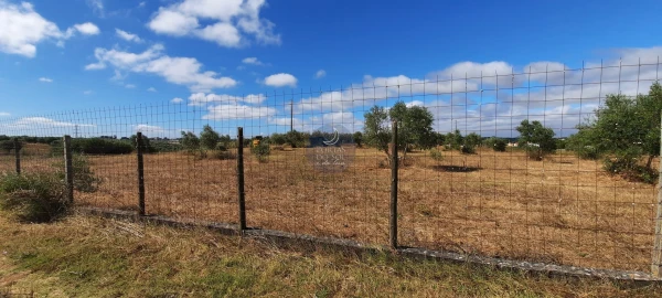 Terreno para Venda em Romeira e Várzea