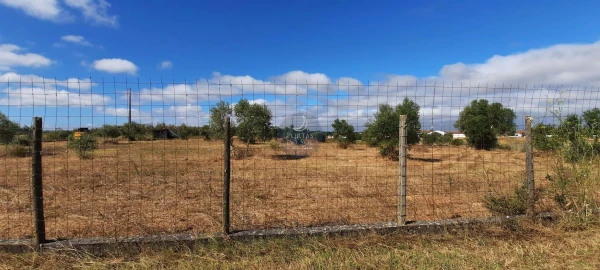 Terreno para Venda em Romeira e Várzea