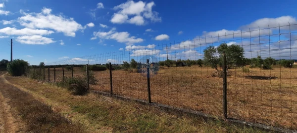 Terreno para Venda em Romeira e Várzea