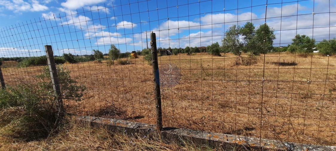 Terreno para Venda em Romeira e Várzea Foto 10