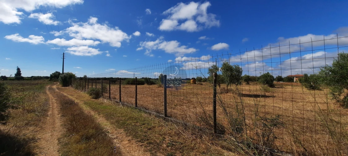 Terreno para Venda em Romeira e Várzea Foto 12