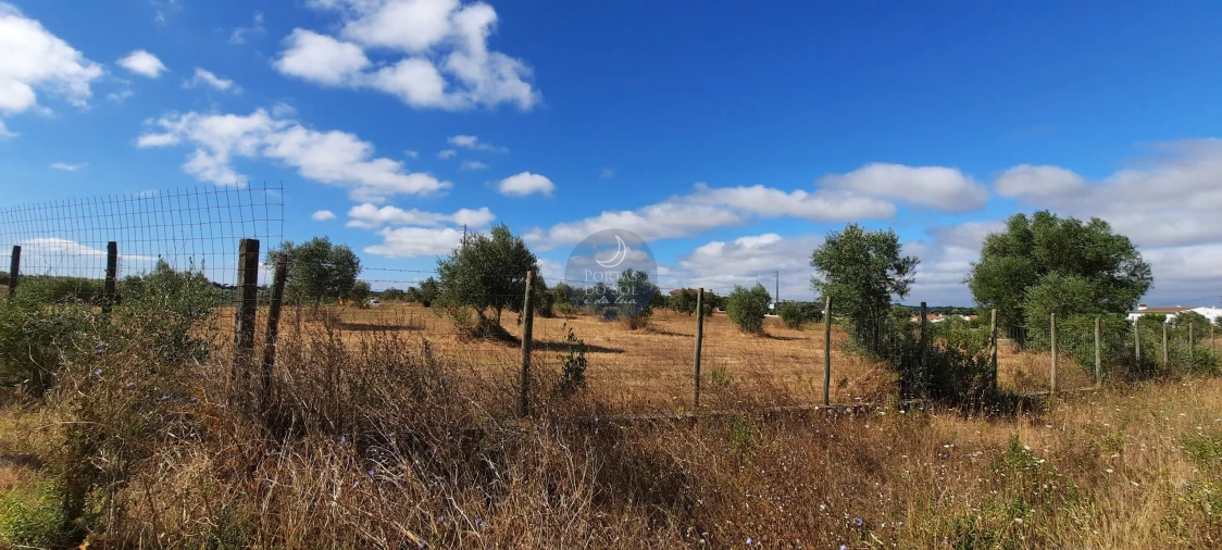 Terreno para Venda em Romeira e Várzea Foto 3