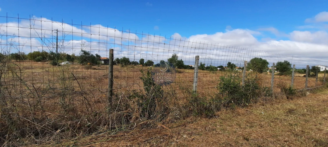 Terreno para Venda em Romeira e Várzea Foto 2