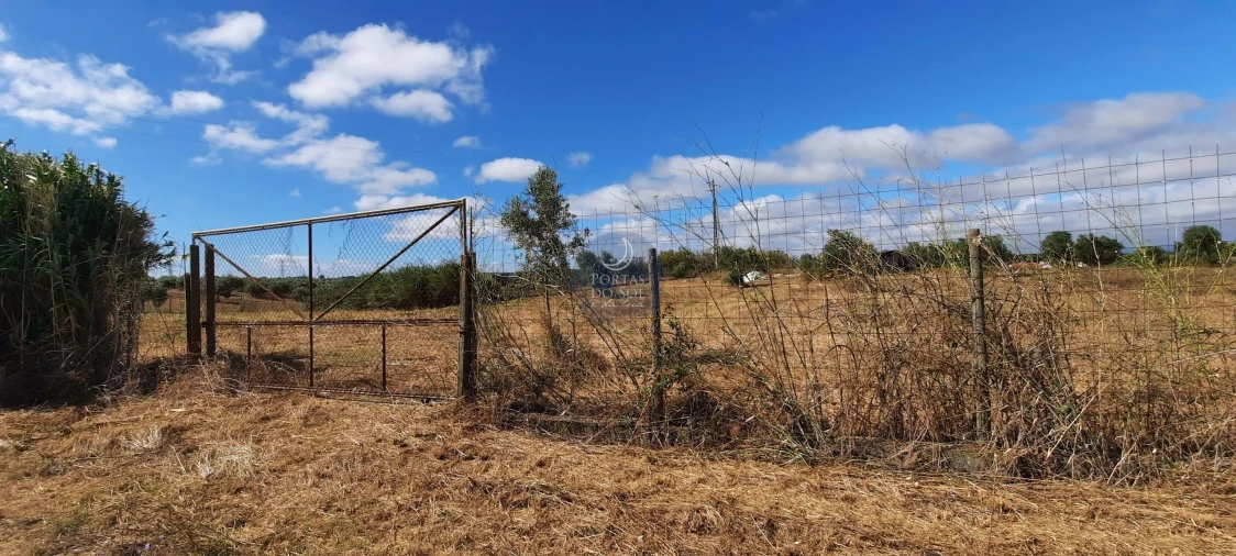 Terreno para Venda em Romeira e Várzea Foto 8
