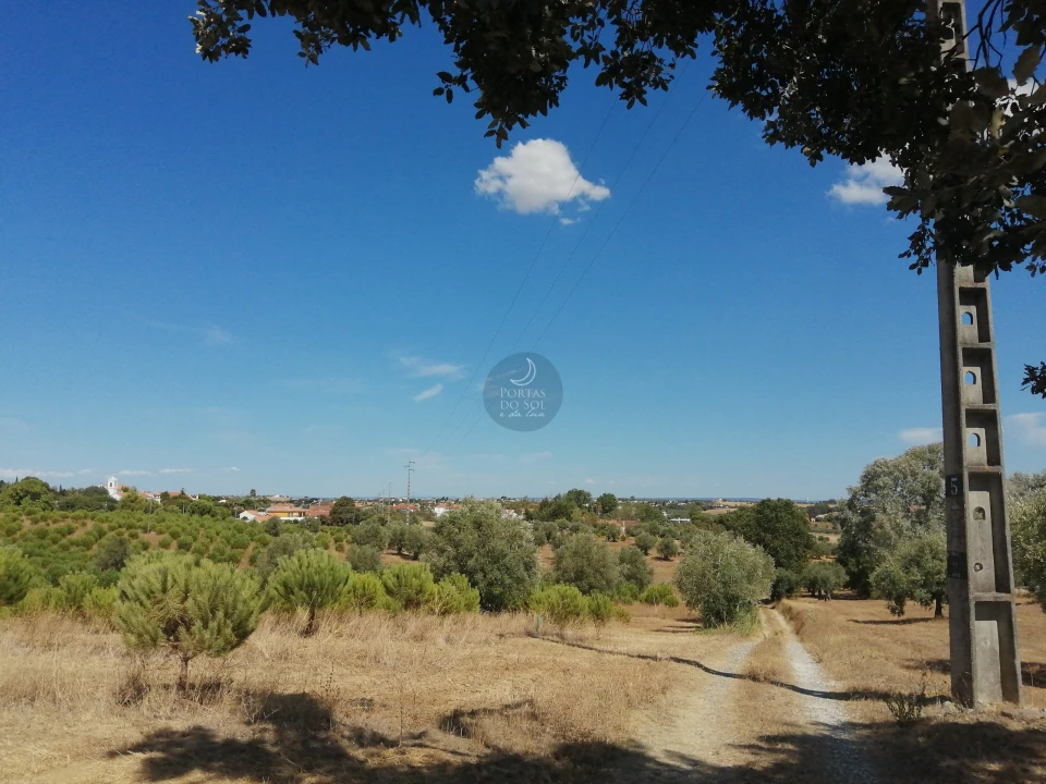 Terreno para Venda em Romeira e Várzea Foto 4