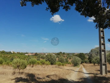 Terreno para Venda em Romeira e Várzea