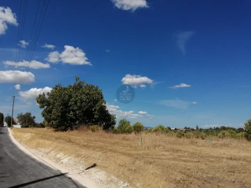 Terreno para Venda em Romeira e Várzea