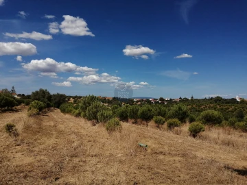 Terreno para Venda em Romeira e Várzea