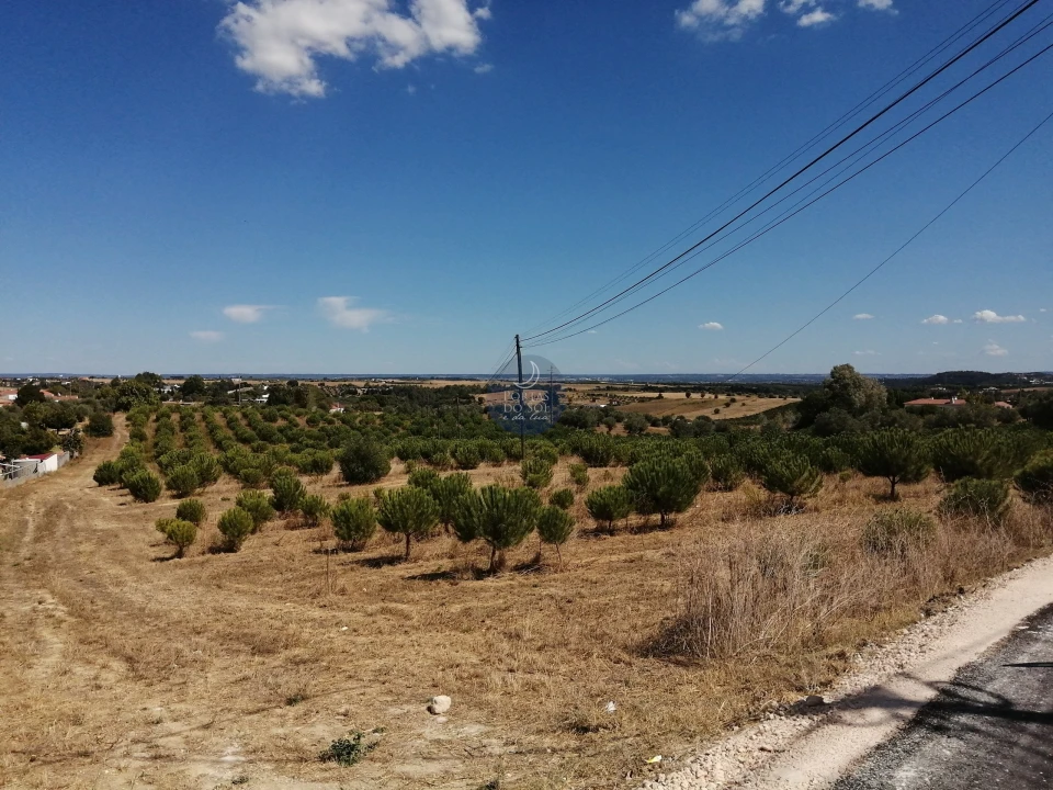 Terreno para Venda em Romeira e Várzea Foto 1