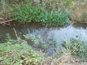 Armazém para Venda em Romeira e Várzea
