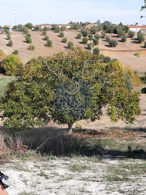 Armazém para Venda em Romeira e Várzea