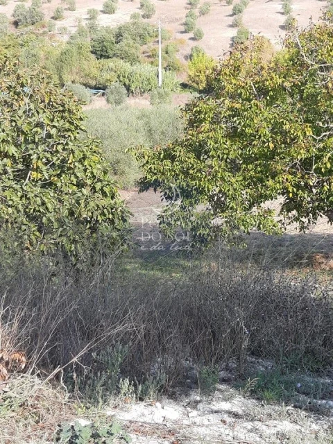 Armazém para Venda em Romeira e Várzea