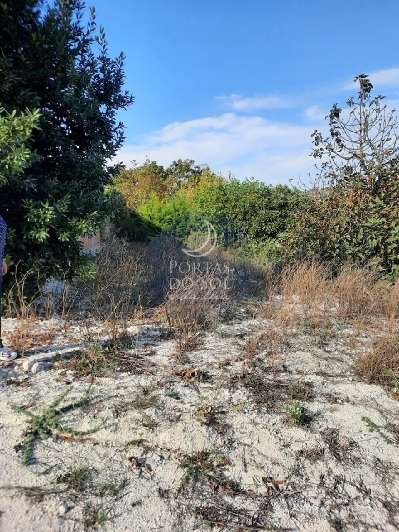 Armazém para Venda em Romeira e Várzea Foto 15