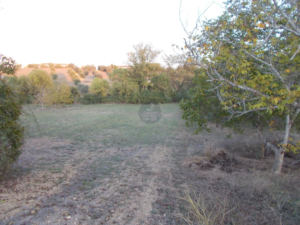 Armazém para Venda em Romeira e Várzea Foto 12