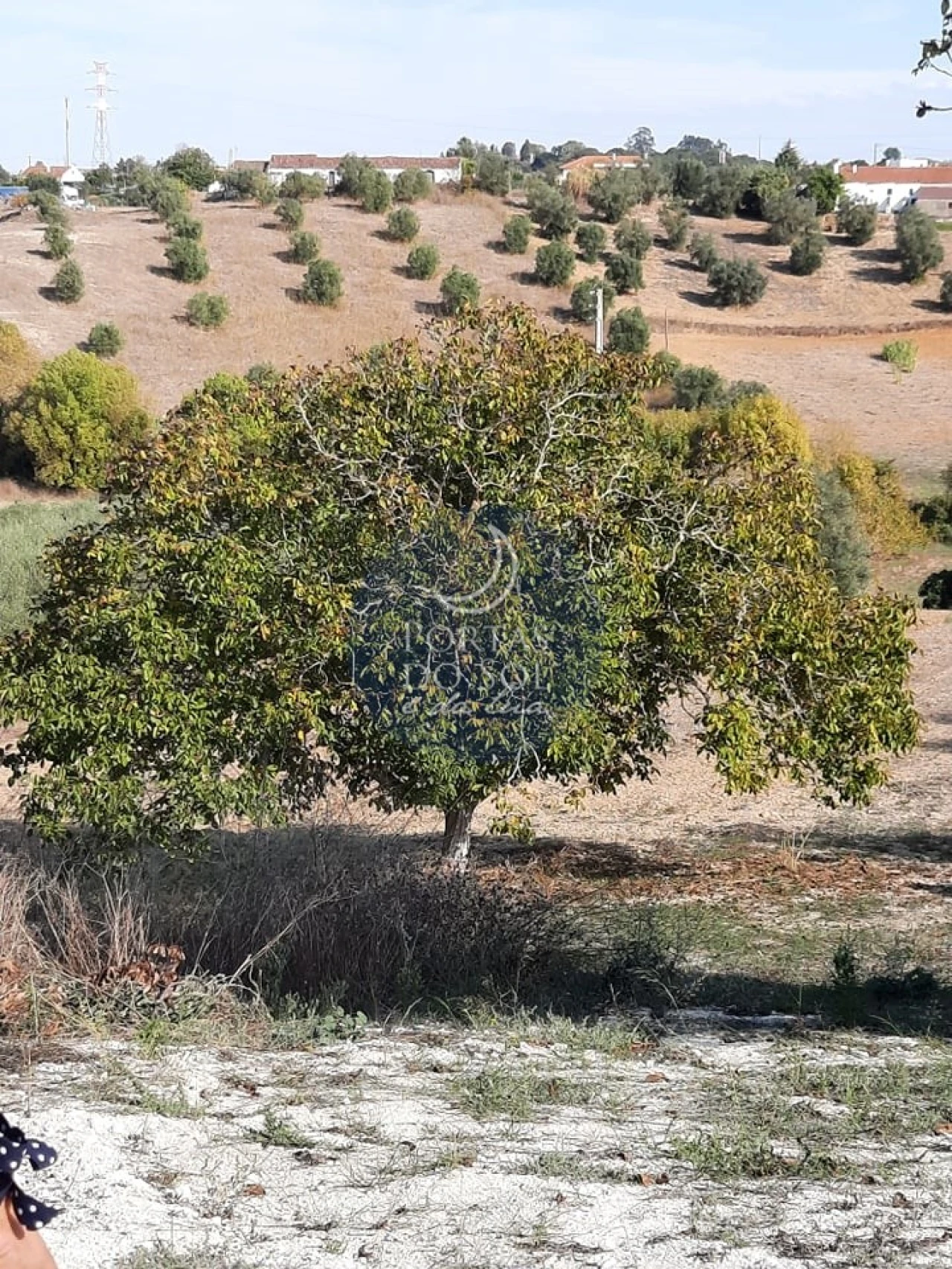 Armazém para Venda em Romeira e Várzea Foto 17