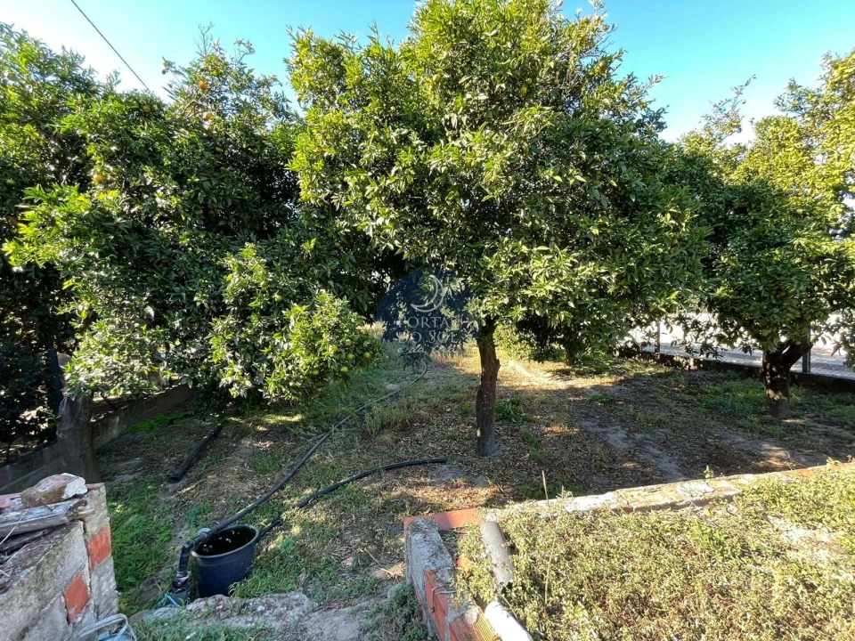 Terreno para Venda em Alpiarça Foto 2