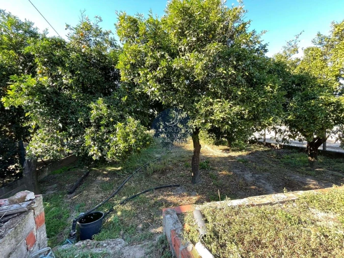 Terreno para Venda em Alpiarça Foto 2