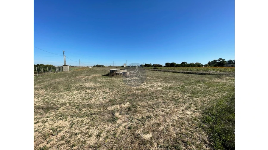 Terreno Agricola ou Rústico para Venda em Alpiarça