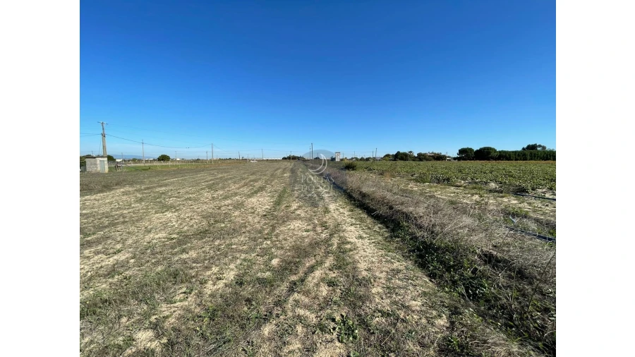 Terreno Agricola ou Rústico para Venda em Alpiarça Foto 5