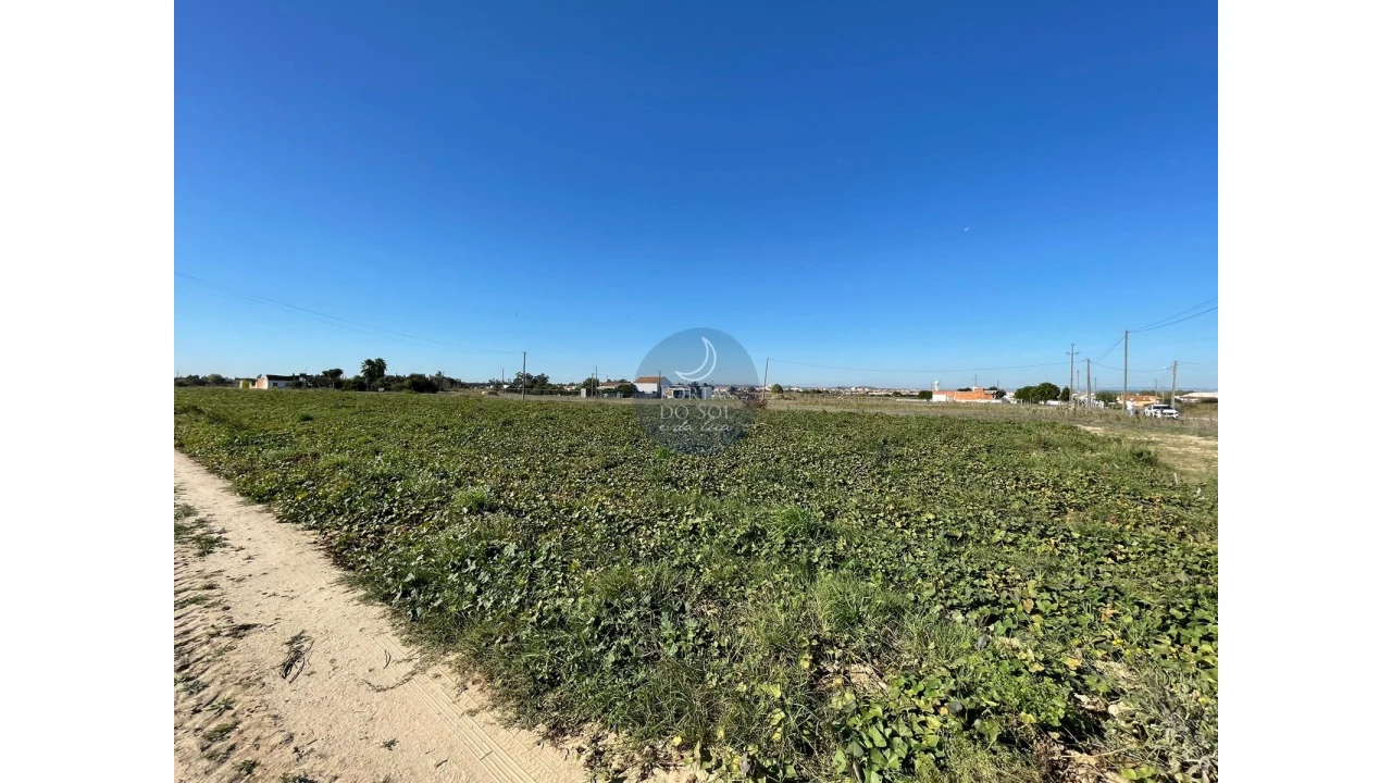 Terreno Agricola ou Rústico para Venda em Alpiarça Foto 8