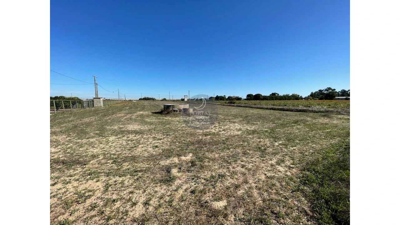 Terreno Agricola ou Rústico para Venda em Alpiarça Foto 1