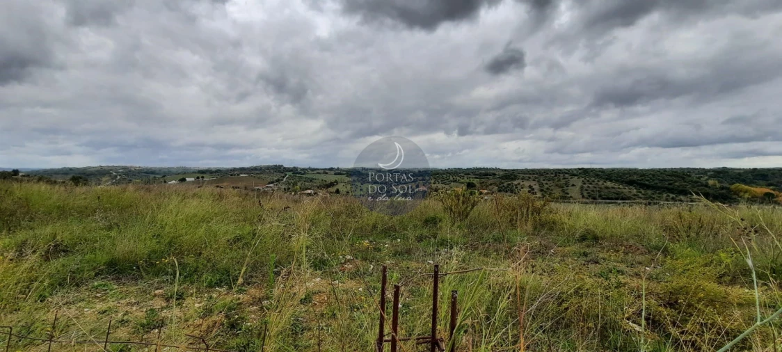Terreno para Venda em Torres Novas (São Pedro), Lapas e Ribeira Branca Foto 3