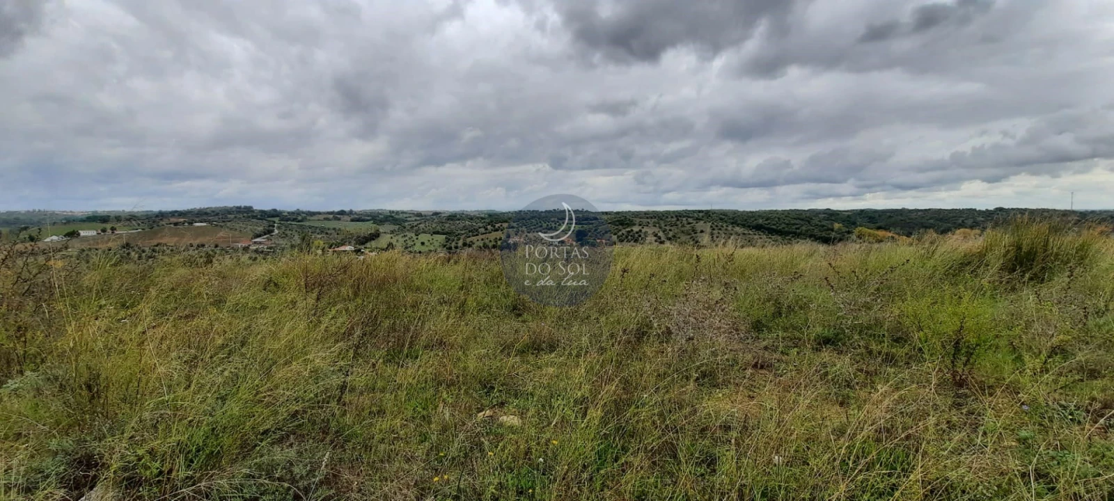 Terreno para Venda em Torres Novas (São Pedro), Lapas e Ribeira Branca Foto 2