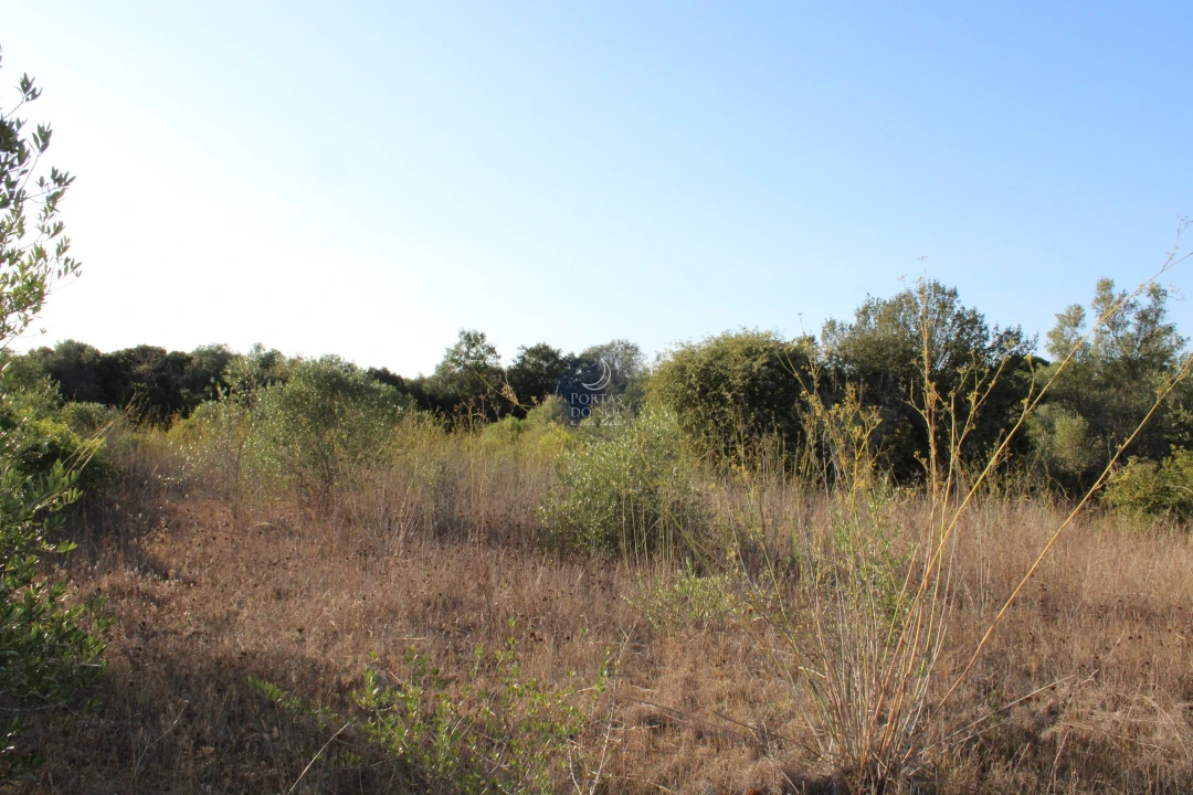 Terreno para Venda em Almoster Foto 1