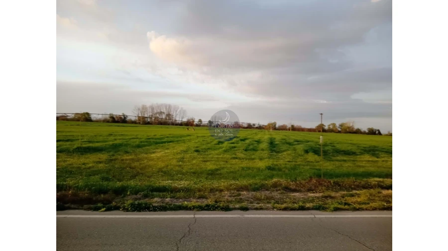 Terreno Agricola ou Rústico para Venda em Vale de Cavalos