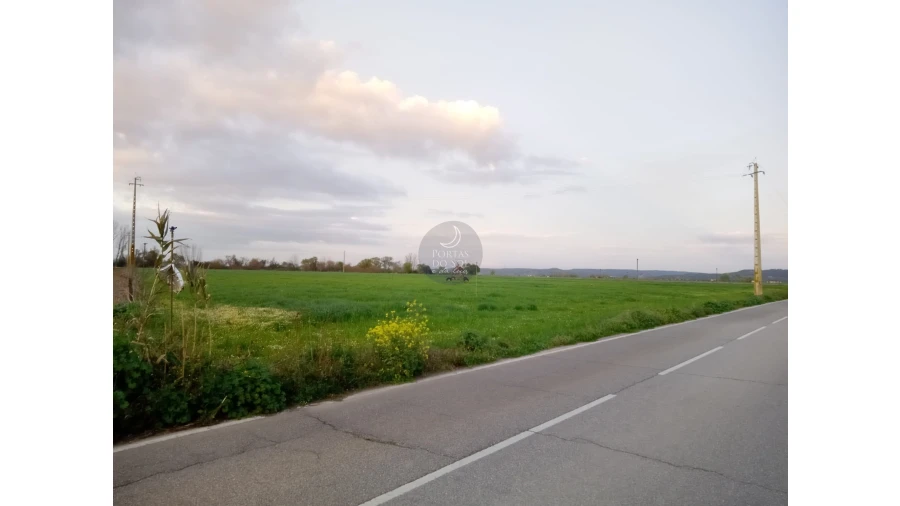 Terreno Agricola ou Rústico para Venda em Vale de Cavalos Foto 2