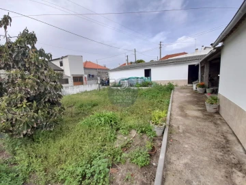 Terreno para Venda em Salvaterra de Magos e Foros de Salvaterra