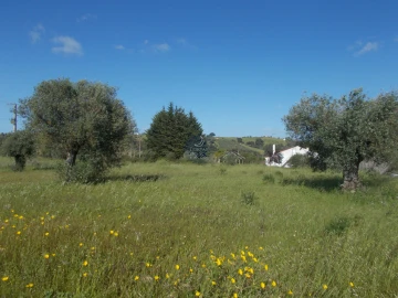 Terreno Agricola ou Rústico para Venda em Azoia de Cima e Tremês