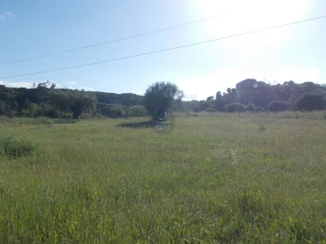 Terreno Agricola ou Rústico para Venda em Azoia de Cima e Tremês
