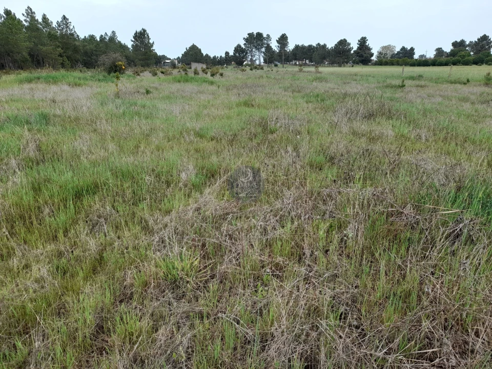 Terreno para Venda em Marinhais Foto 5