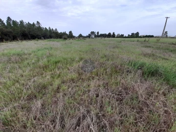 Terreno para Venda em Marinhais