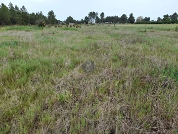Terreno para Venda em Marinhais