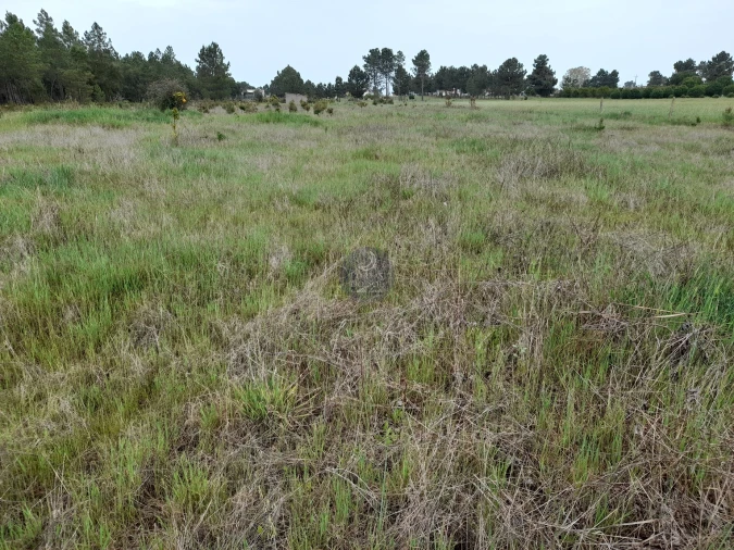 Terreno para Venda em Marinhais Foto 5