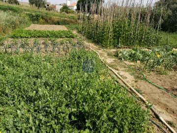 Terreno para Venda em Marvila, Ribeira Santarém, São Salvador, São Nicolau