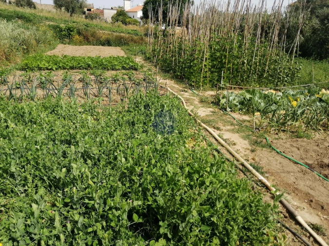 Terreno para Venda em Marvila, Ribeira Santarém, São Salvador, São Nicolau