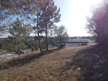 Terreno para Venda em Marvila, Ribeira Santarém, São Salvador, São Nicolau