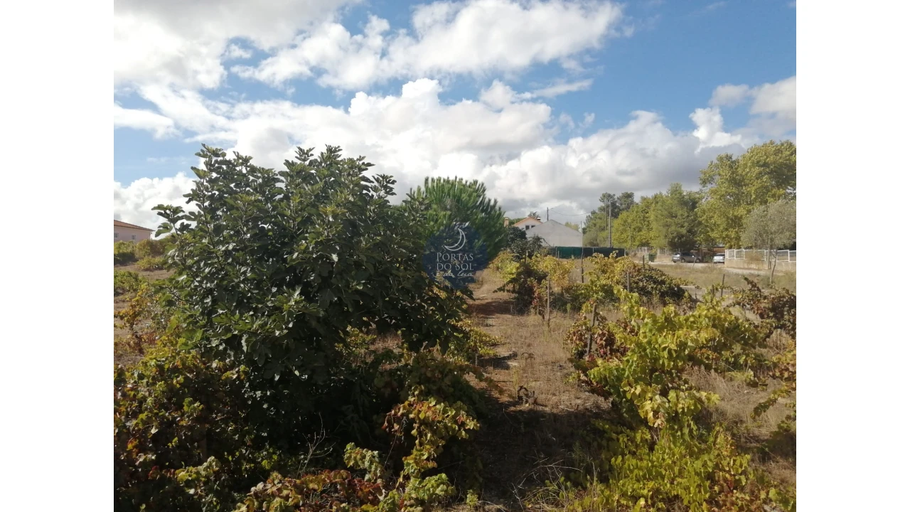 Terreno para Venda em Vila Chã de Ourique Foto 3
