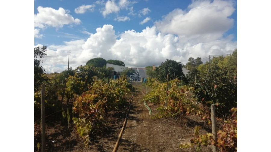 Terreno para Venda em Vila Chã de Ourique Foto 1