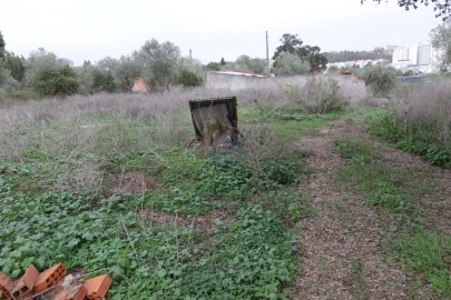 Terreno para Venda em Marvila, Ribeira Santarém, São Salvador, São Nicolau