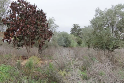 Terreno para Venda em Marvila, Ribeira Santarém, São Salvador, São Nicolau