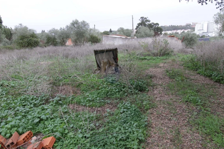 Terreno para Venda em Marvila, Ribeira Santarém, São Salvador, São Nicolau Foto 2