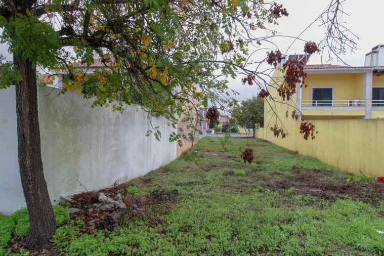 Terreno para Venda em Marvila, Ribeira Santarém, São Salvador, São Nicolau Foto 3