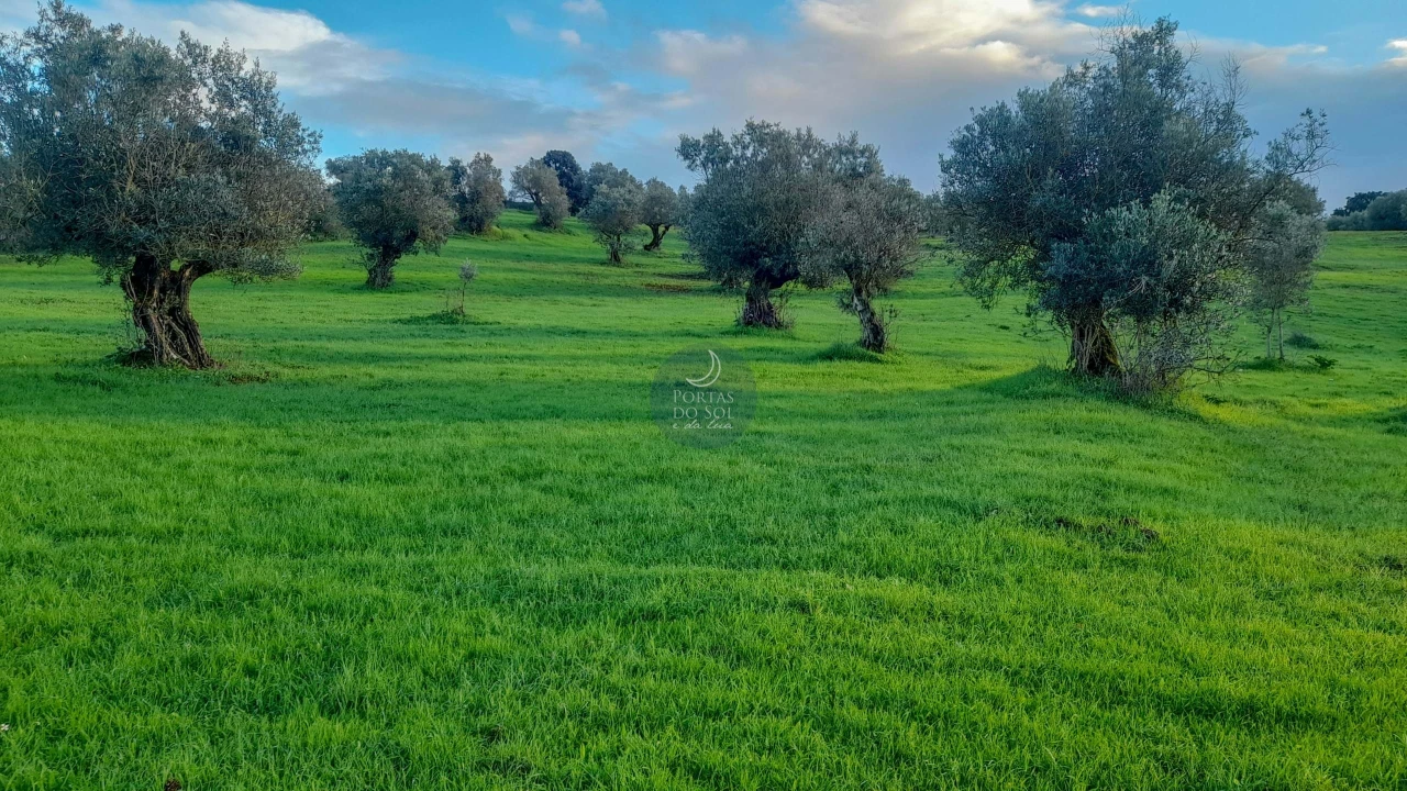 Armazém para Venda em Alcanede Foto 4