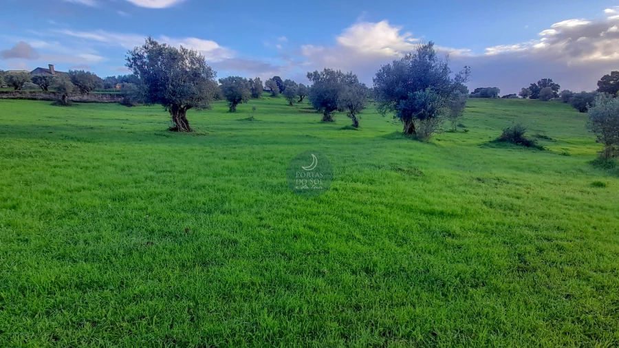 Armazém para Venda em Alcanede Foto 5
