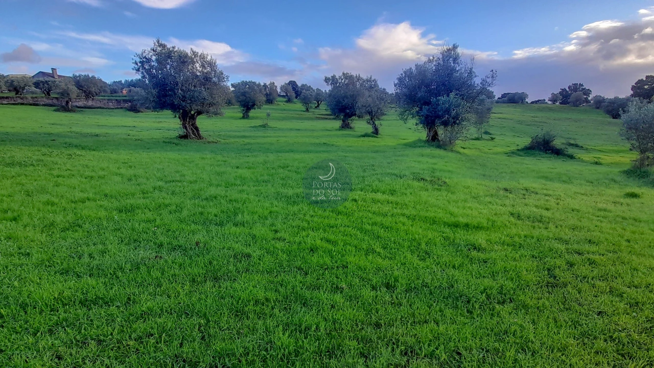Armazém para Venda em Alcanede Foto 5